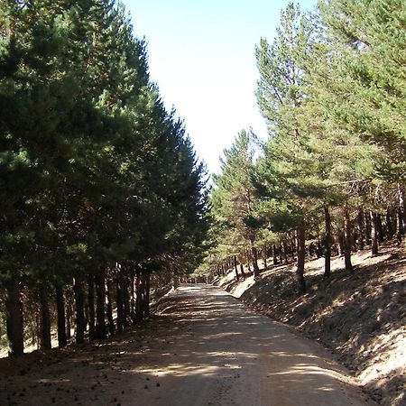 Hostal Rural Poqueira 카피레이라 외부 사진