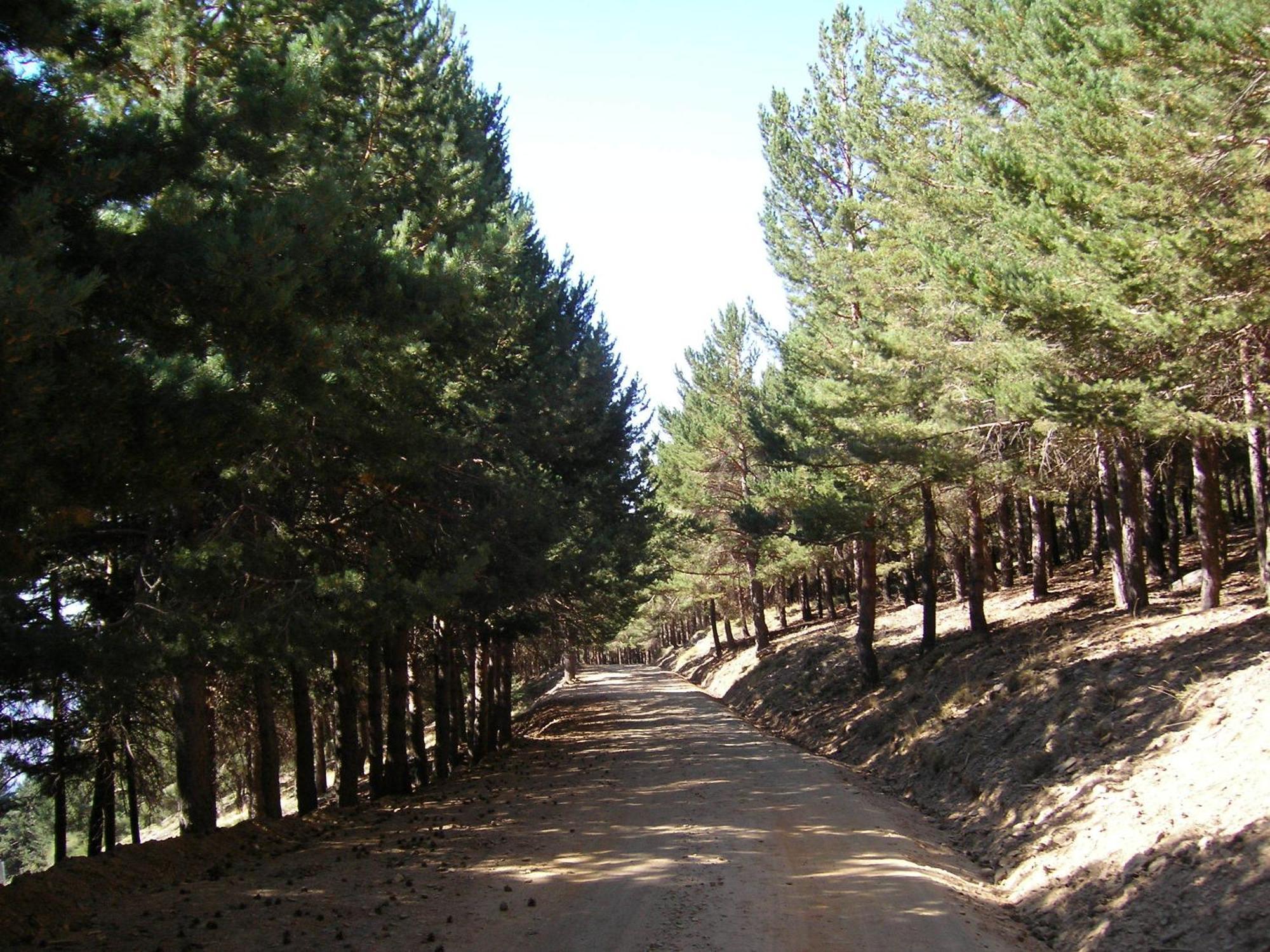 Hostal Rural Poqueira 카피레이라 외부 사진